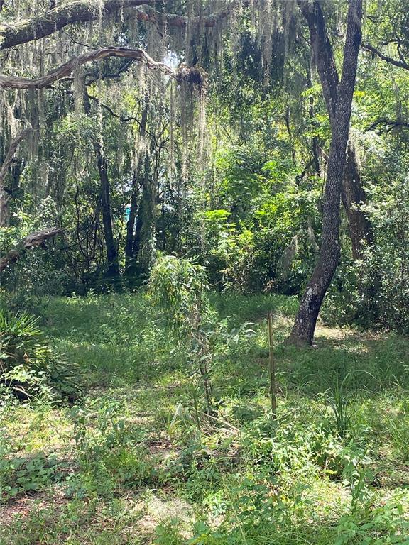 CR 448C, LAKE PANASOFFKEE, FL — photo 5 of 7