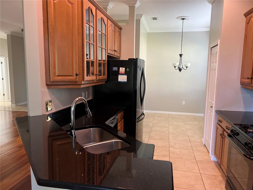 A kitchen features wood cabinets, black countertops, a stainless steel sink, and a black refrigerator — 119 FALLING ACORN AVENUE, GROVELAND, FL