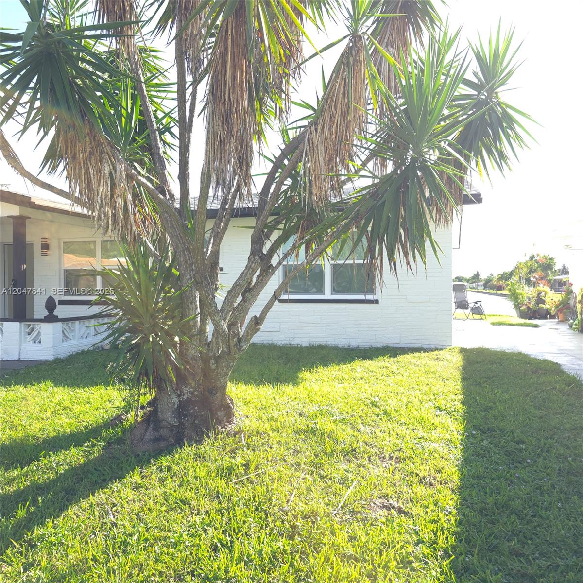A large yucca tree stands in the front yard of a white painted brick house — 4404 NW 46th Way, Tamarac FL 33319, TAMARAC, FL