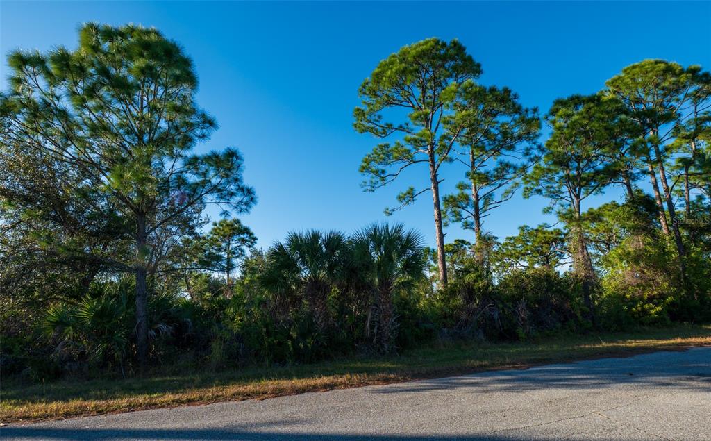 A paved road runs in front of a wooded lot with pine trees and palms — 8281 DIMSTEAD ST., PORT CHARLOTTE, FL