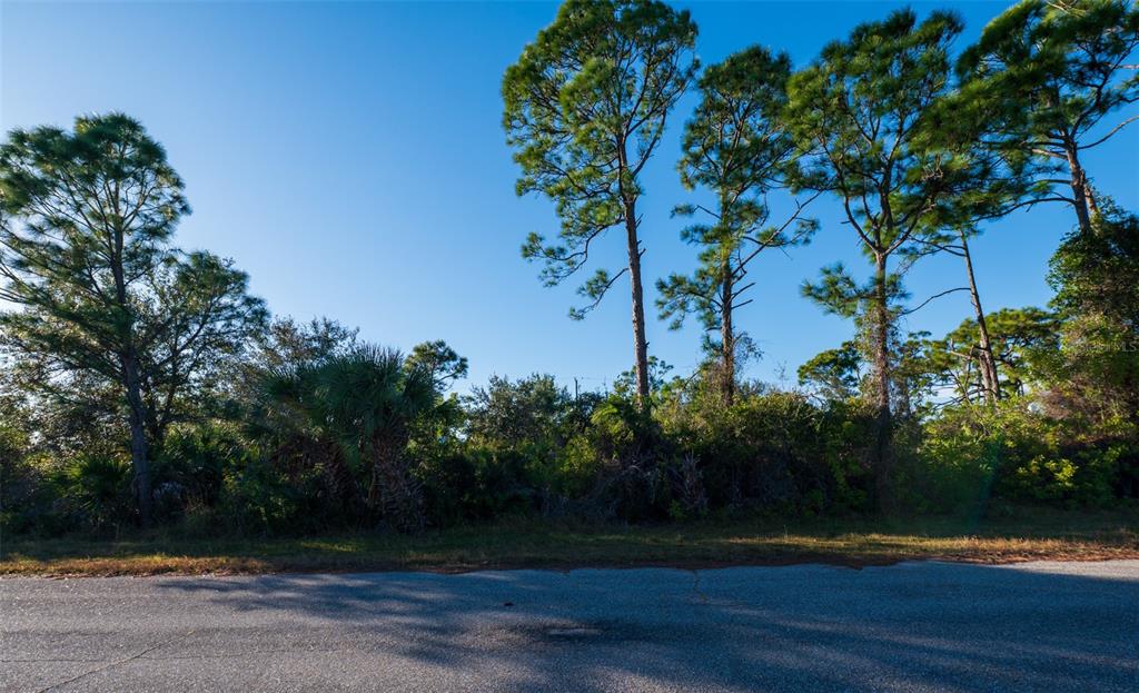A view of a vacant, wooded lot bordered by a paved road and tall pine trees — 8281 DIMSTEAD ST., PORT CHARLOTTE, FL
