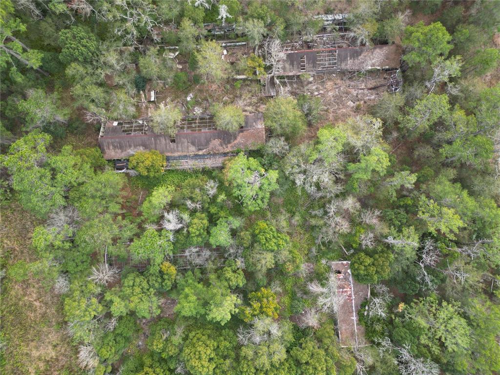 36242 COUNTY ROAD 439, EUSTIS, FL — photo 2 of 9