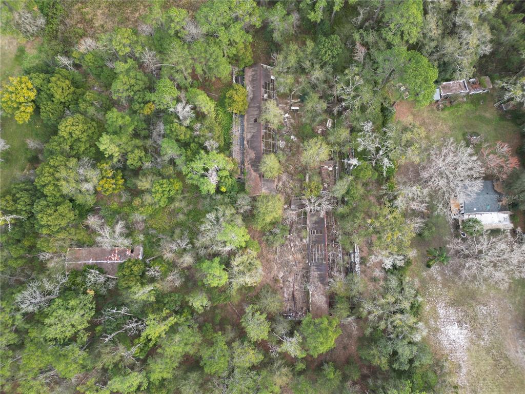 36242 COUNTY ROAD 439, EUSTIS, FL — photo 3 of 9