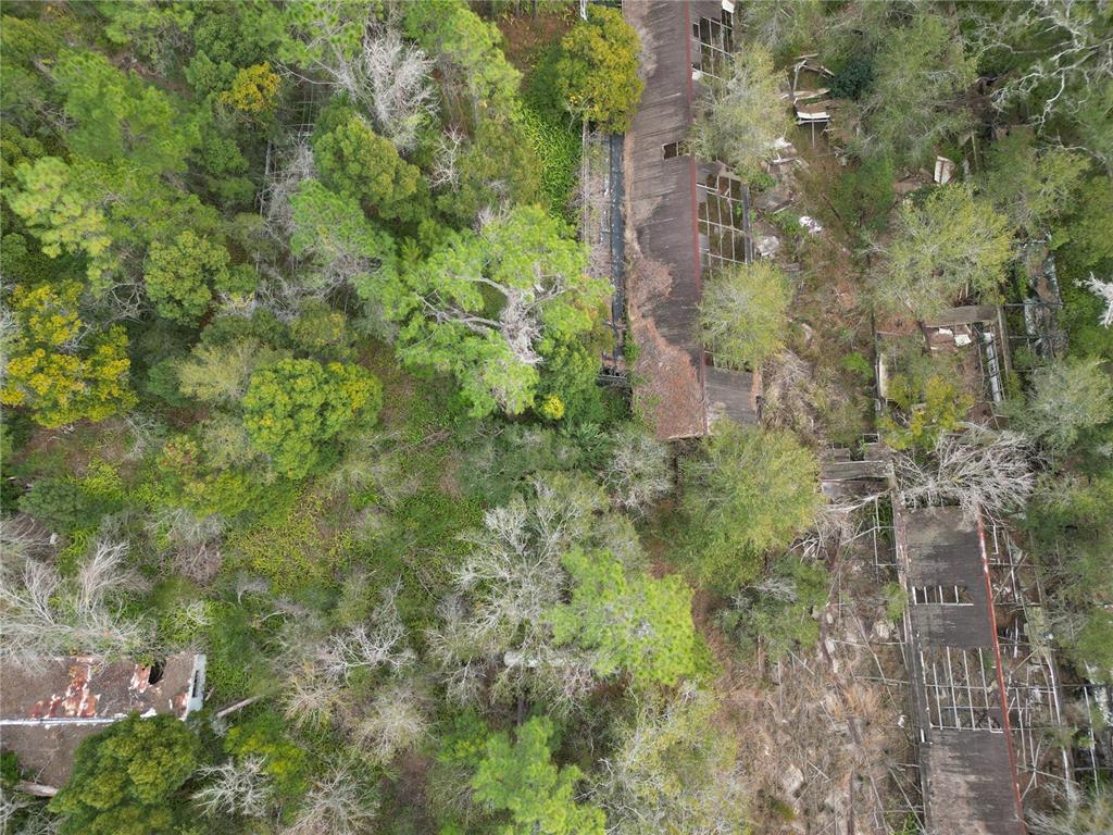 36242 COUNTY ROAD 439, EUSTIS, FL — photo 4 of 9