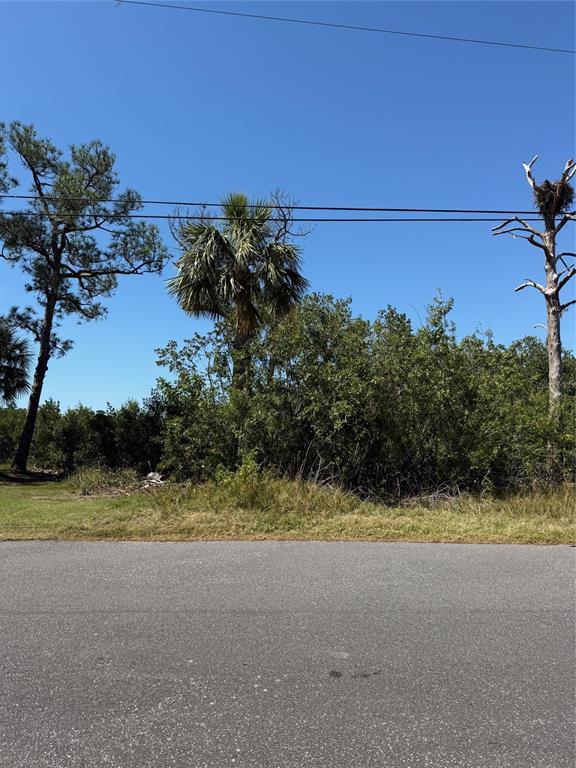 A paved road runs in front of a wooded lot with several trees and power lines — SEA BREEZE DRIVE, TARPON SPRINGS, FL