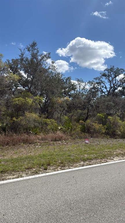 A vacant, wooded lot sits alongside a paved road under a blue sky — 6110 COUNTY ROAD 17 S, SEBRING, FL
