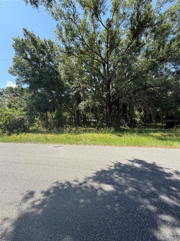 A paved road sits in front of a wooded lot with mature trees — 1101 E MAGNOLIA STREET, LEESBURG, FL