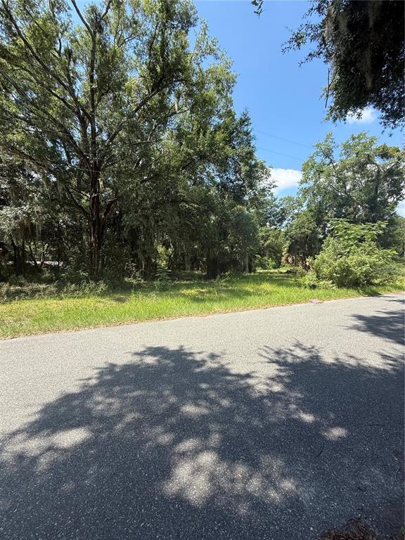 A paved road runs in front of a grassy, wooded vacant lot under a blue sky — 1101 E MAGNOLIA STREET, LEESBURG, FL
