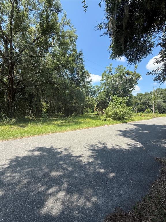 A paved road runs alongside a grassy, wooded vacant lot under a clear blue sky — 1101 E MAGNOLIA STREET, LEESBURG, FL
