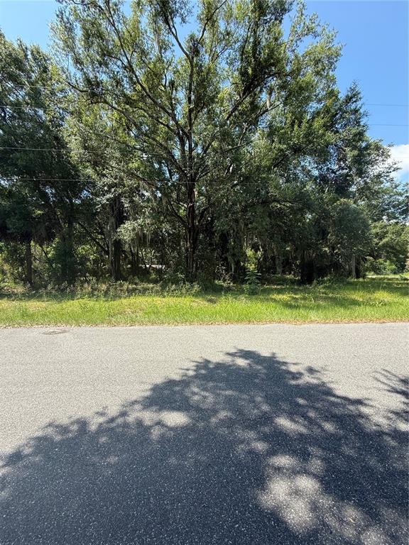 A paved road sits in front of a grassy lot with many large, mature trees — 1101 E MAGNOLIA STREET, LEESBURG, FL