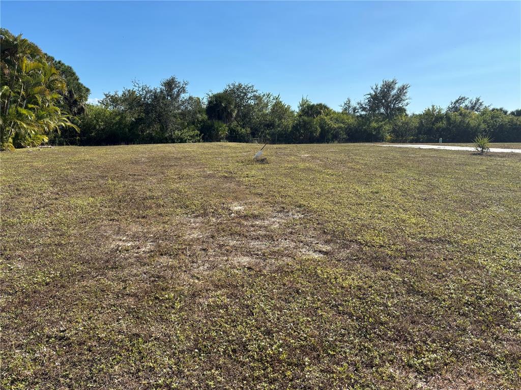 A flat, grassy vacant lot with scattered trees and shrubs under a clear blue sky — 7466 SILAGE CIR, PORT CHARLOTTE, FL