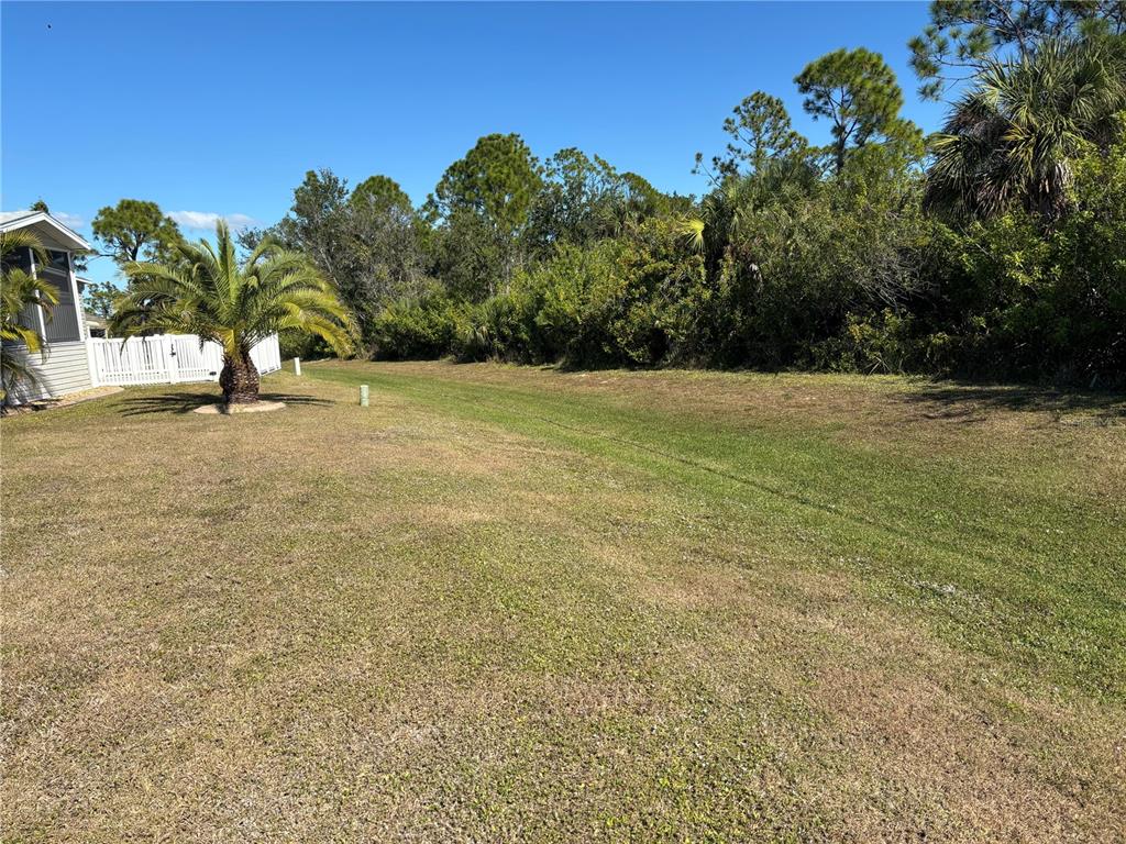 A grassy backyard features a palm tree and dense foliage against a clear blue sky — 7466 SILAGE CIR, PORT CHARLOTTE, FL