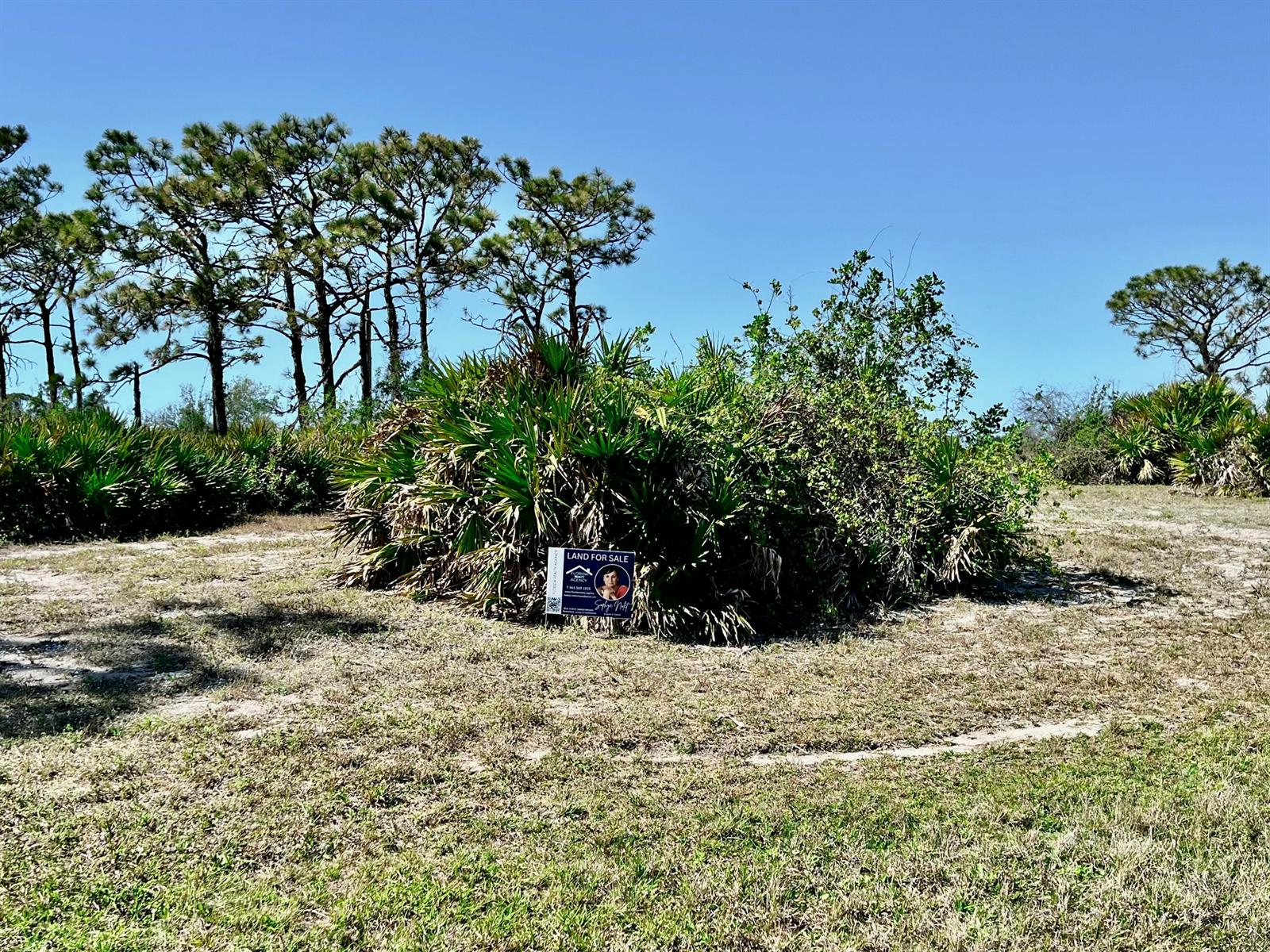A real estate sign stands in front of a dense bush on a grassy lot — 11 Boat Court, FL 33946, FL