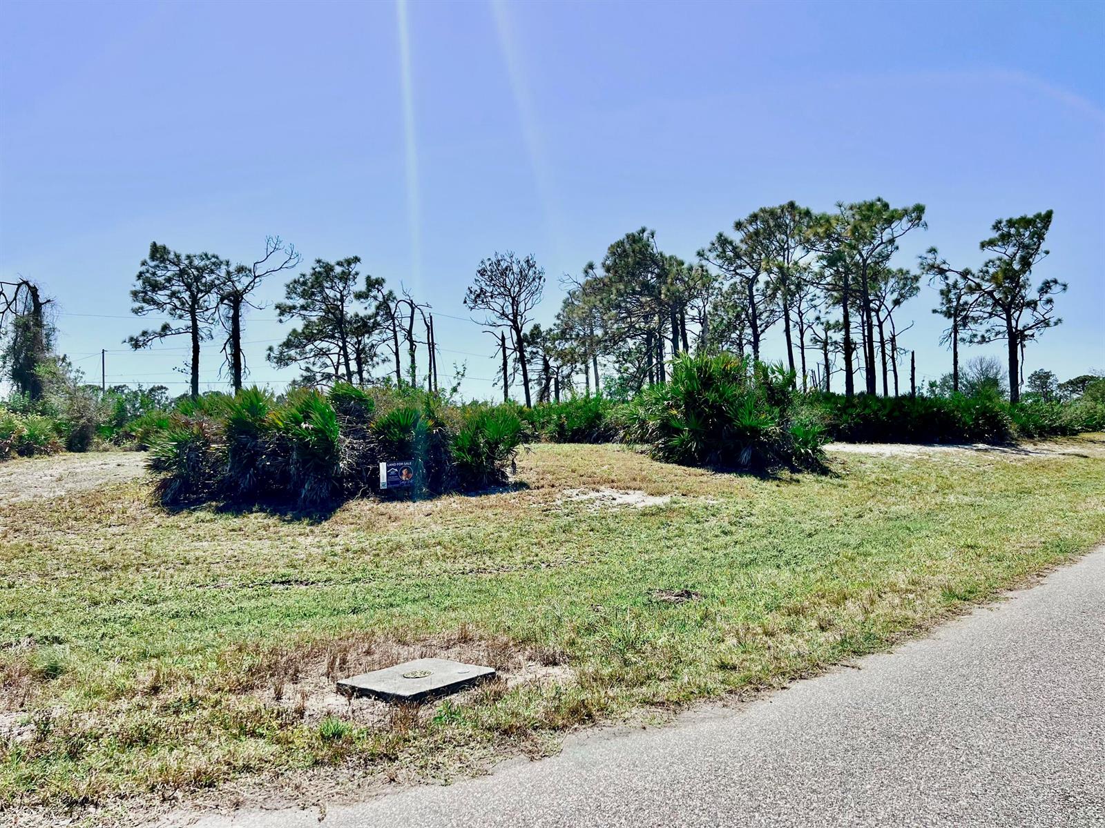 A vacant, grassy lot with scattered palmetto bushes and pine trees next to a road — 11 Boat Court, FL 33946, FL