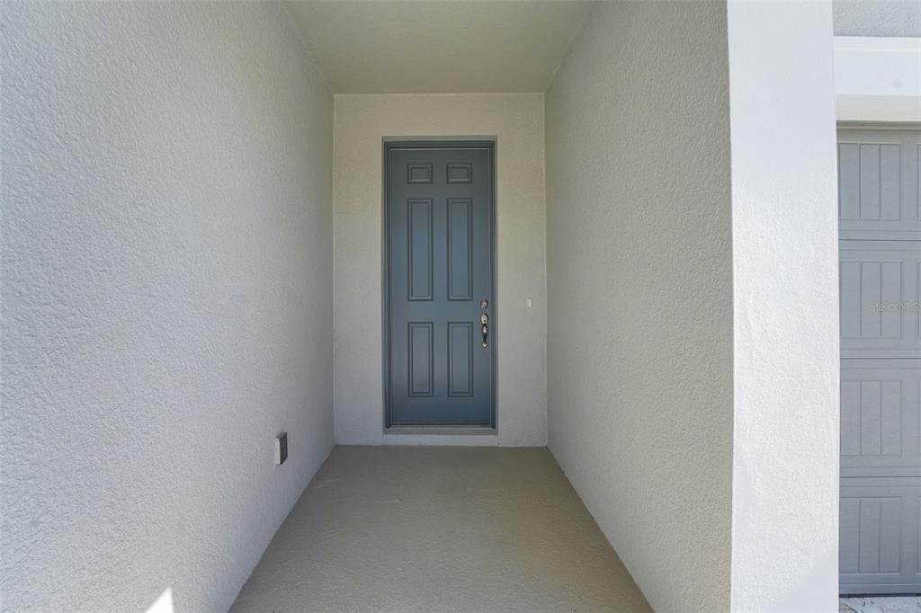 A gray front door is set within a recessed entryway with light-colored stucco walls — 17546 VALLEYWOOD PARKWAY, LAND O LAKES, FL