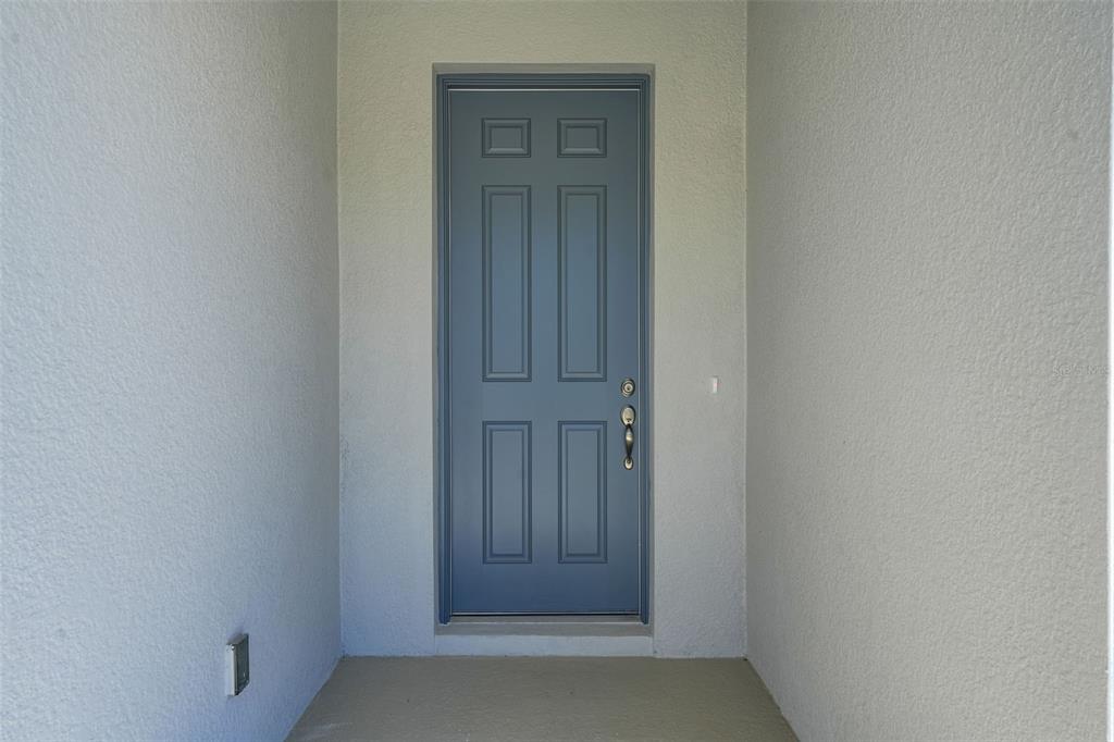 A blue six-panel front door is centered in a recessed entryway with light-colored stucco walls — 17546 VALLEYWOOD PARKWAY, LAND O LAKES, FL