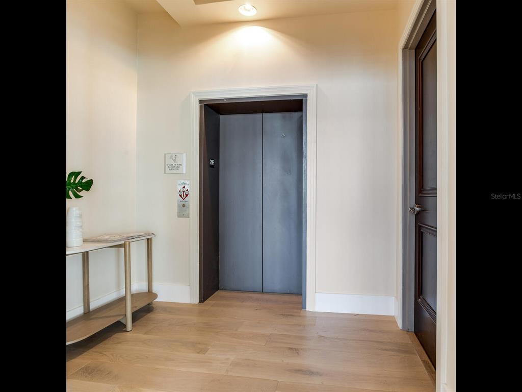 A hallway features light wood flooring, a console table, an elevator, and a dark wood door — 1209 E CUMBERLAND AVENUE UNIT 2902, TAMPA, FL