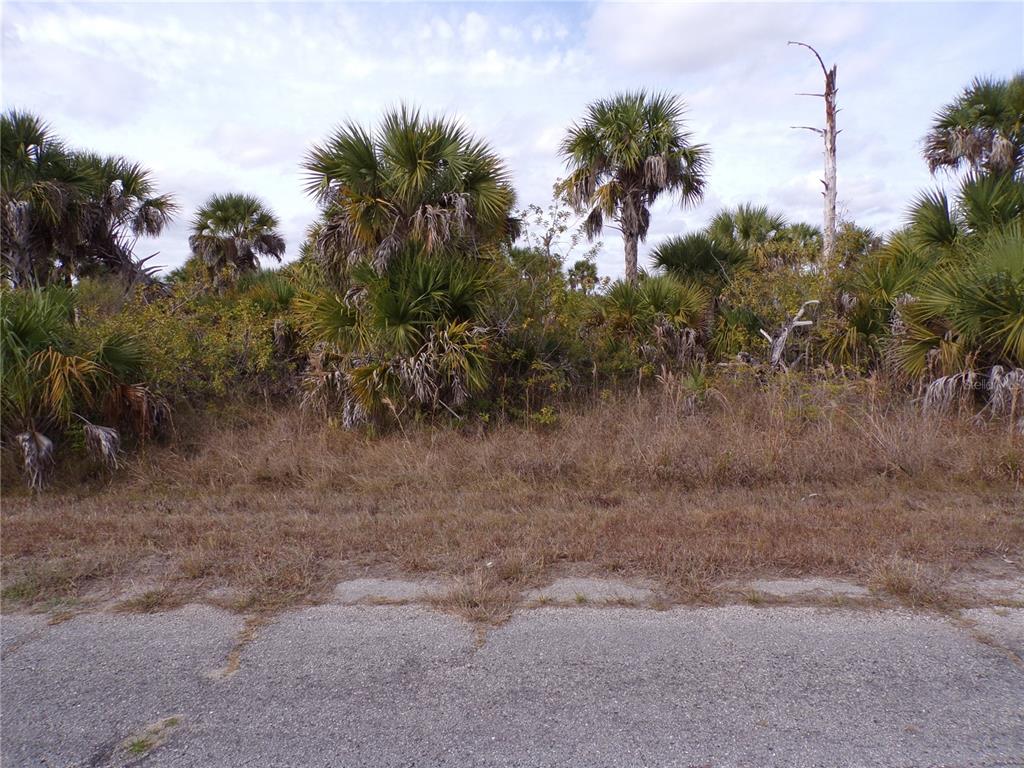 FIREGLOW CIRCLE, NORTH PORT, FL — photo 5 of 10
