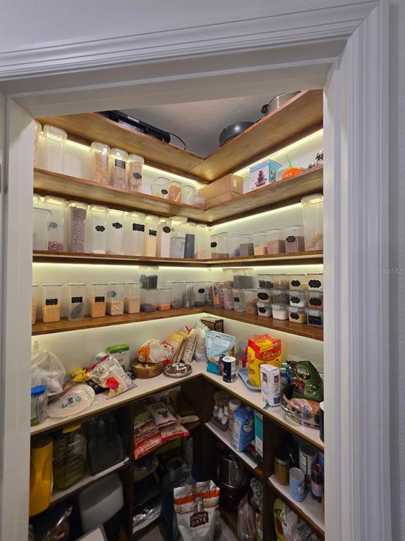 A walk-in pantry features wooden shelves with integrated LED lighting and numerous clear storage containers — 35518 LOCKMAN WAY, ZEPHYRHILLS, FL