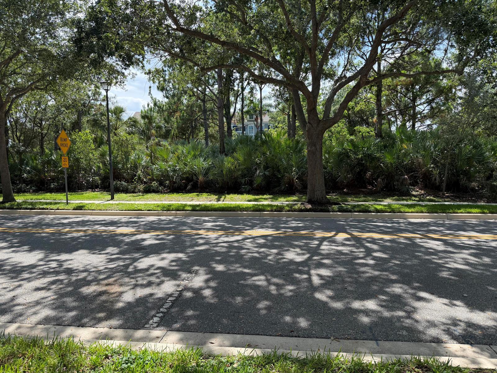 A paved road runs in front of a wooded area with a house visible behind trees — 241 E Thatch Palm Circle, Jupiter FL 33458, JUPITER, FL