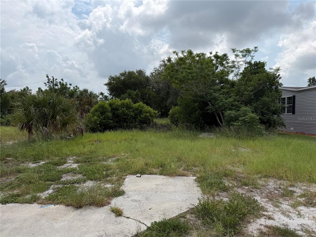 A grassy, overgrown vacant lot with a concrete pad and trees under a cloudy sky — 2438 EDWIN STREET NE, WINTER HAVEN, FL