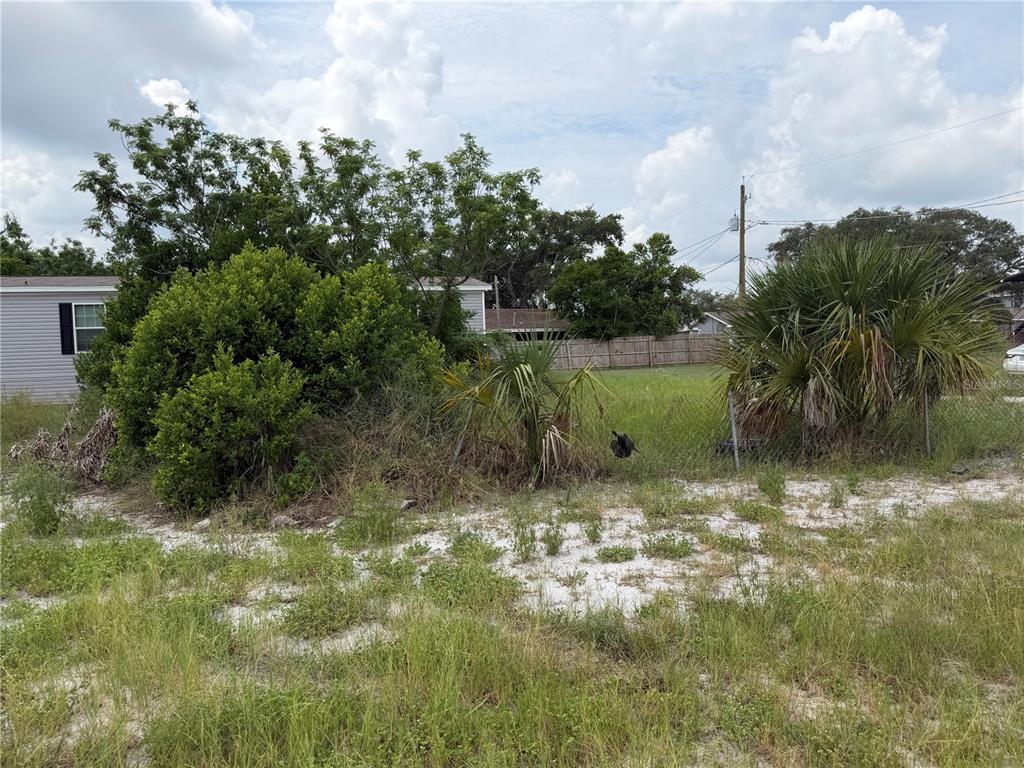 A vacant, grassy lot with sandy soil, scattered shrubs, and palm trees under a cloudy sky — 2438 EDWIN STREET NE, WINTER HAVEN, FL