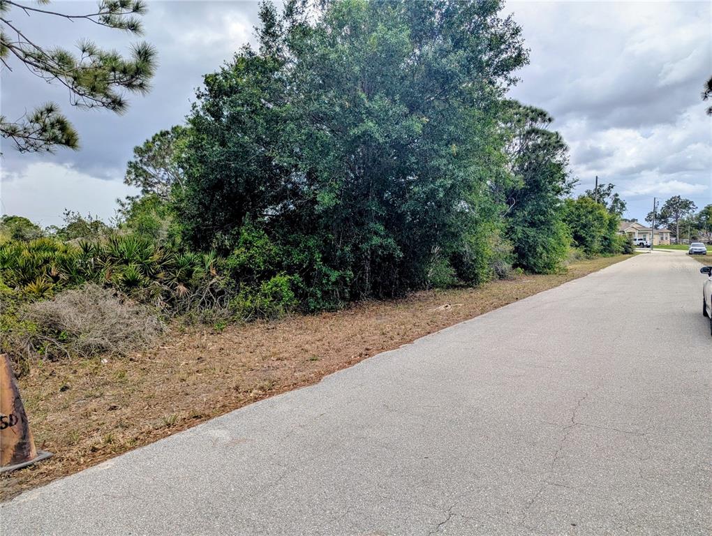 A paved road runs alongside a vacant, tree-covered lot under a cloudy sky — CALLAGHAN LANE, NORTH PORT, FL