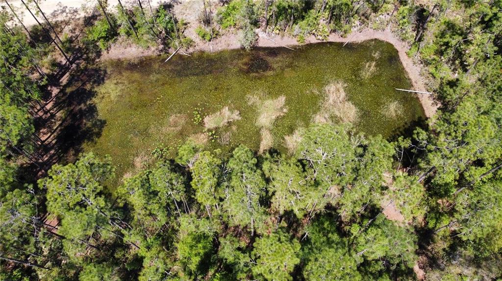 206 HUDSON STREET, INTERLACHEN, FL — photo 3 of 6