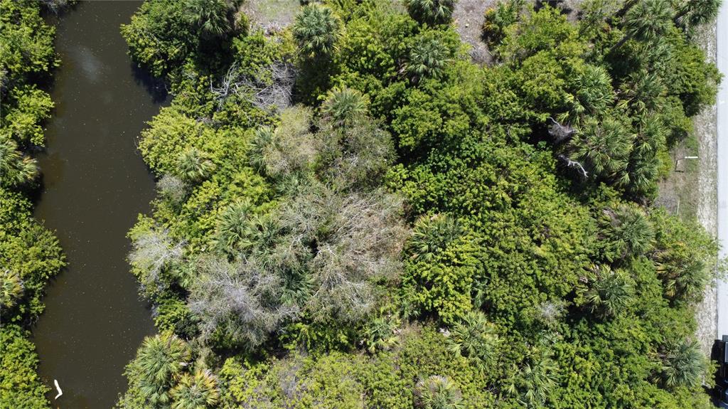 An aerial view shows a dense wooded lot bordering a narrow body of water — 1150 SEA CREST DRIVE NW, PORT CHARLOTTE, FL