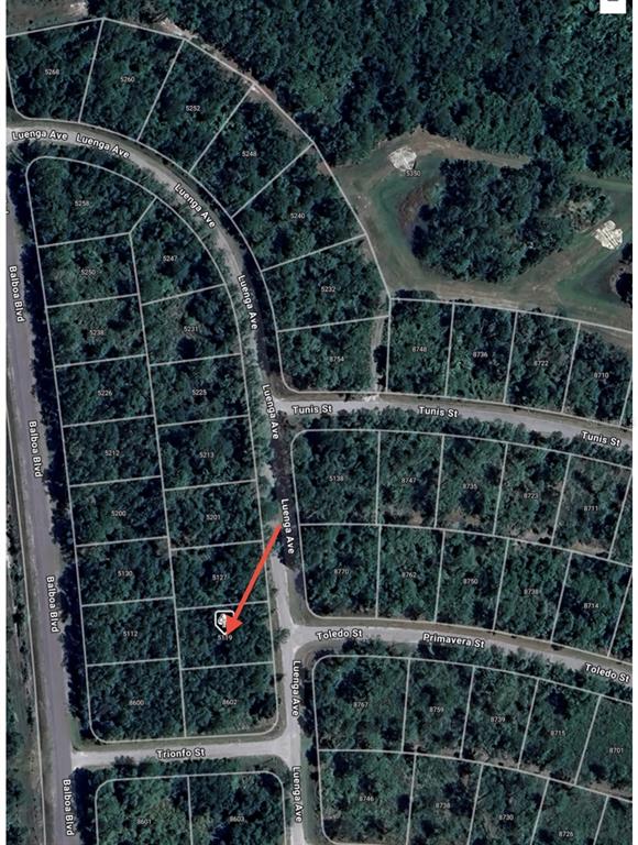 This is an aerial map view showing a wooded residential lot marked with a red arrow — 5119 LUENGA AVENUE, SEBRING, FL
