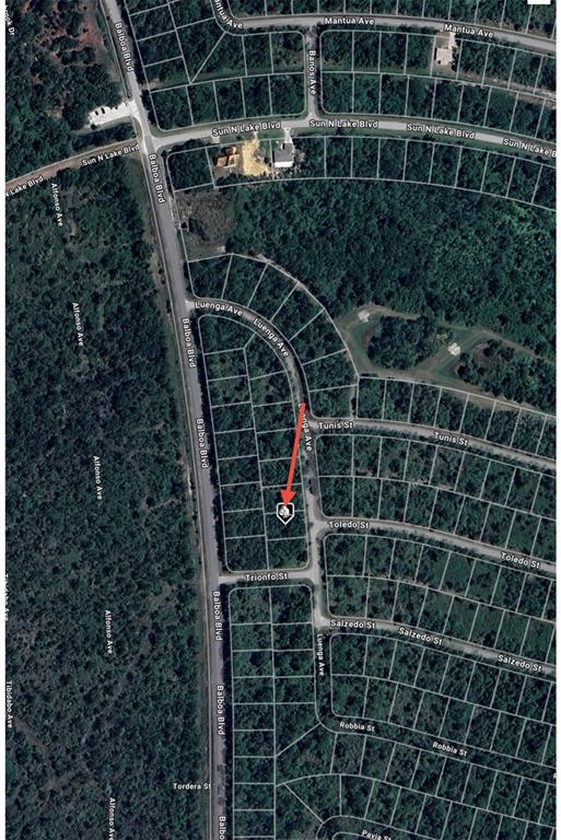An aerial map view shows a residential lot marked with an arrow on Luenga Avenue — 5119 LUENGA AVENUE, SEBRING, FL