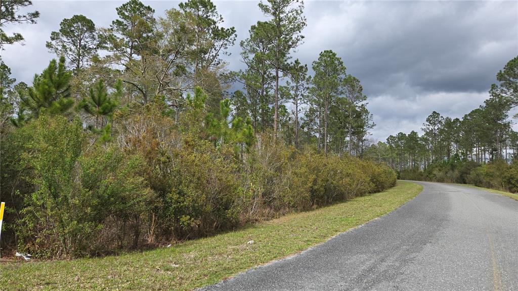 A paved road curves past a wooded lot with dense shrubs and tall pine trees — Lot 9 NW NATALIE WAY, LAKE CITY, FL
