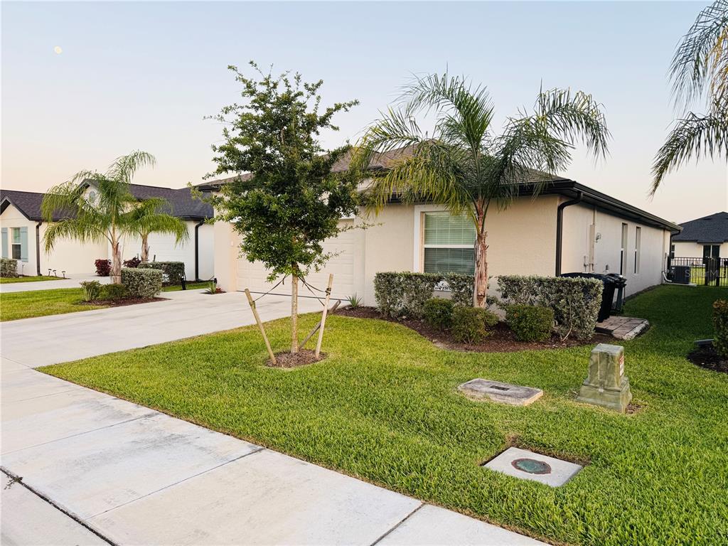 A single-story suburban house with a tan stucco exterior, a palm tree, and a lawn — 4034 SAN CLEMENTE COURT, NORTH FORT MYERS, FL