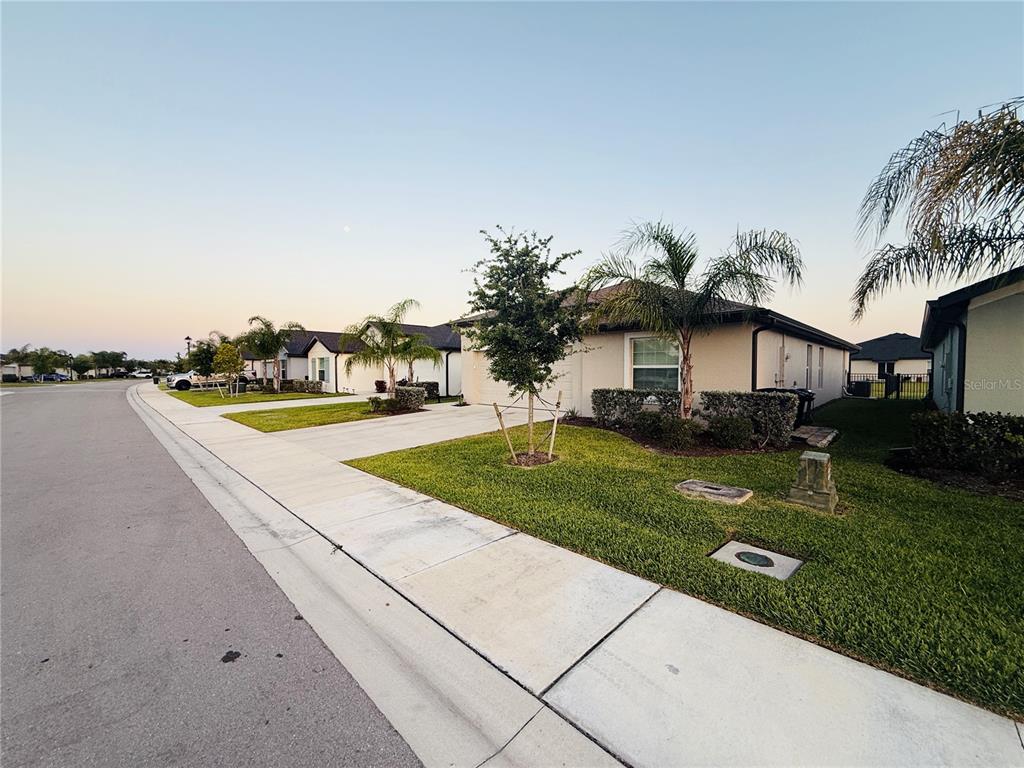 A street view shows several single-story suburban houses with driveways, lawns, and palm trees — 4034 SAN CLEMENTE COURT, NORTH FORT MYERS, FL