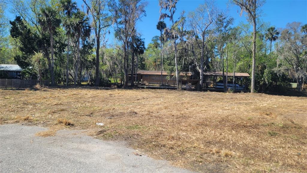 55813 SAM STREET, ASTOR, FL — photo 4 of 6