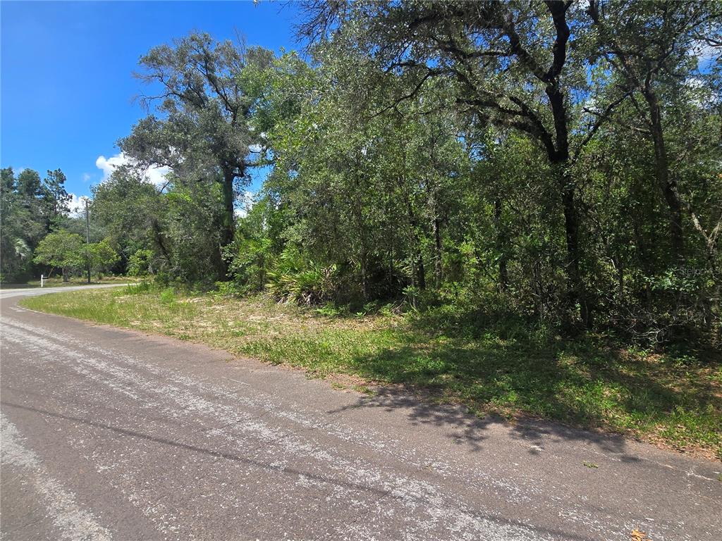 A paved road curves past a wooded, undeveloped lot with dense trees and vegetation — 8365 N IBSEN DRIVE, CITRUS SPRINGS, FL