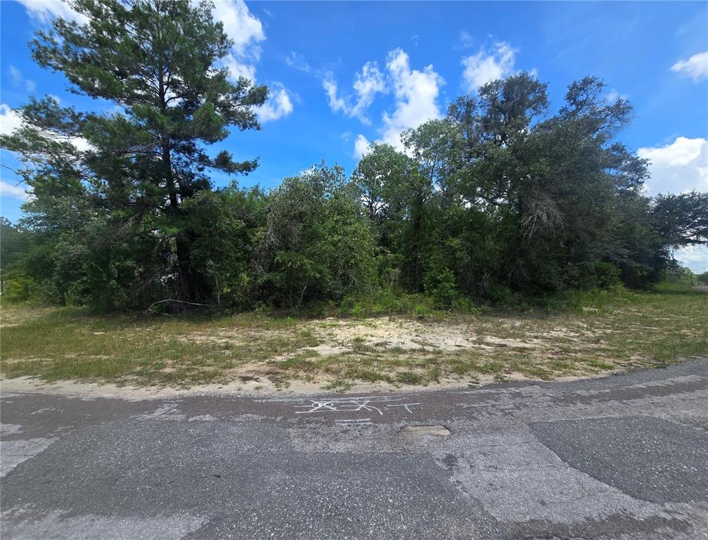A vacant, wooded lot sits behind a paved road with white markings on the asphalt — 8365 N IBSEN DRIVE, CITRUS SPRINGS, FL