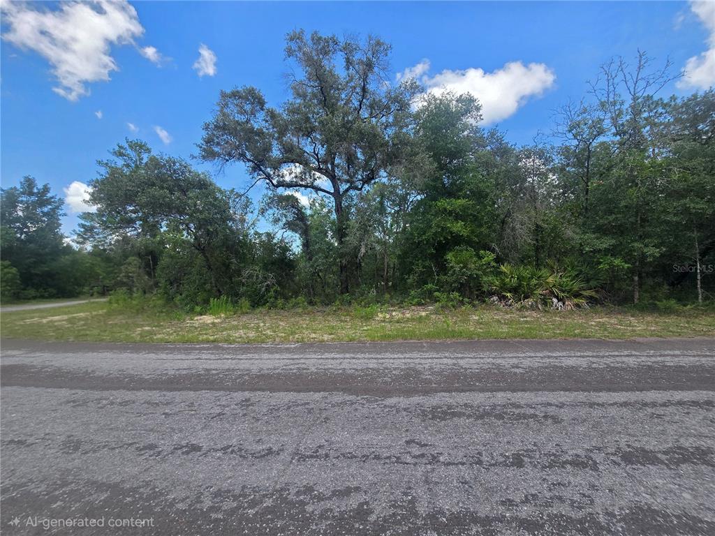A paved road runs in front of a wooded, undeveloped residential lot — 8365 N IBSEN DRIVE, CITRUS SPRINGS, FL