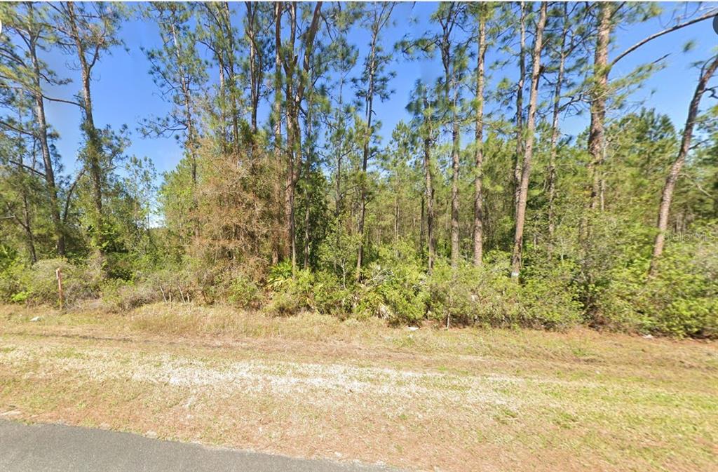4297 W HIGHWAY 100