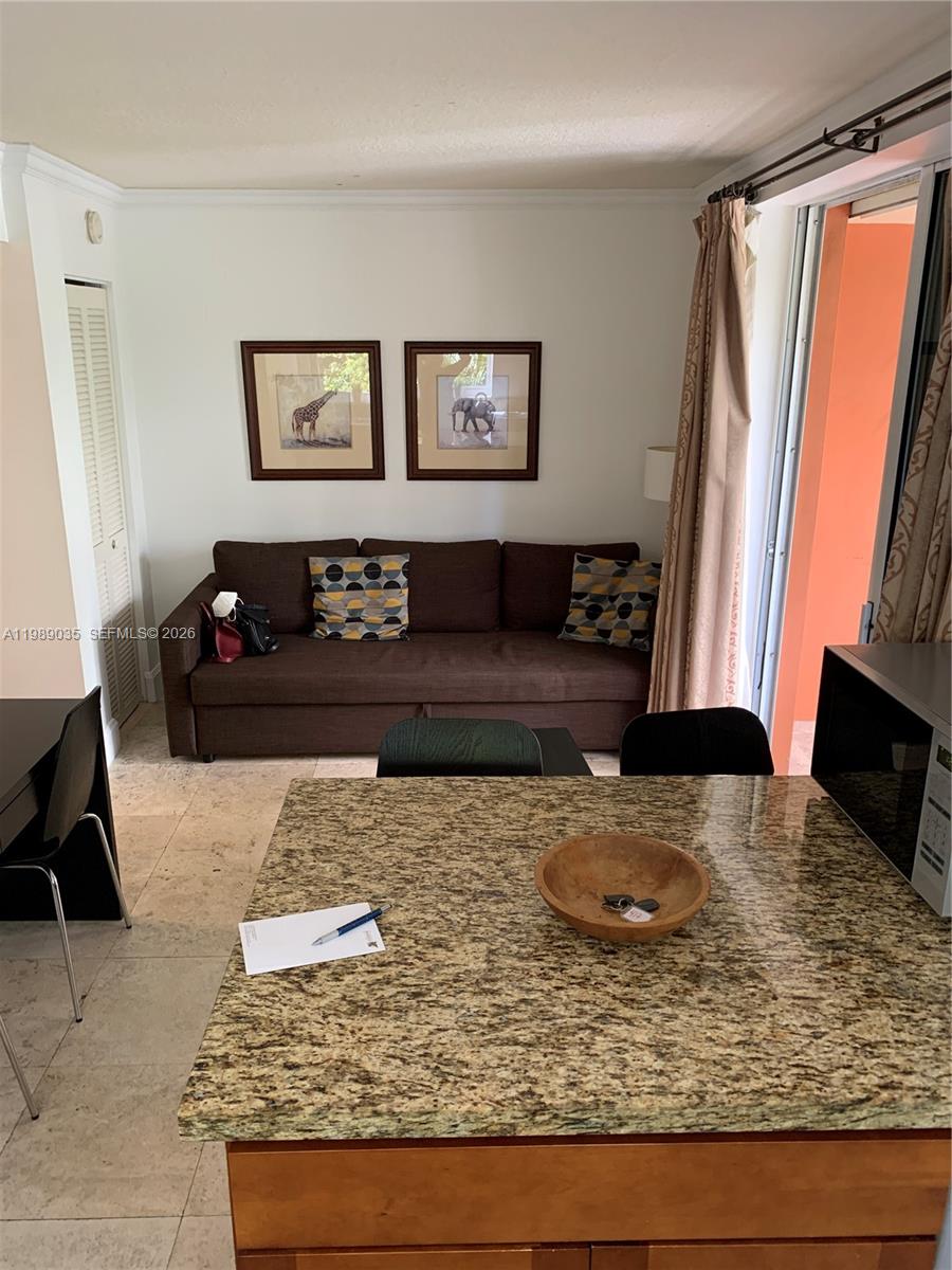 A living room features a brown sofa, two framed animal prints, and a granite countertop — 2951 S Bayshore Dr # 417, Miami FL 33133, MIAMI, FL