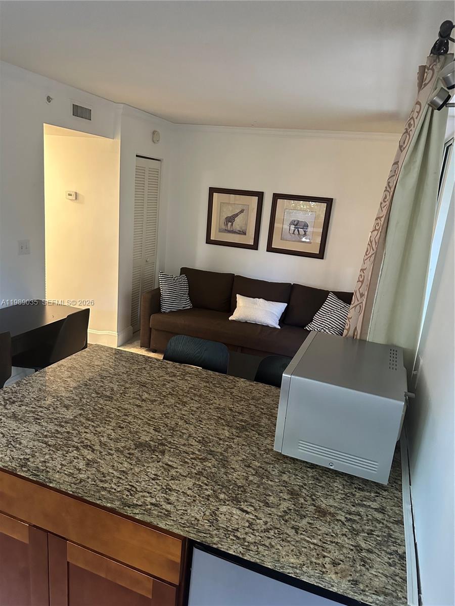 A living area features a brown sofa, granite countertop, and a microwave on the counter — 2951 S Bayshore Dr # 417, Miami FL 33133, MIAMI, FL
