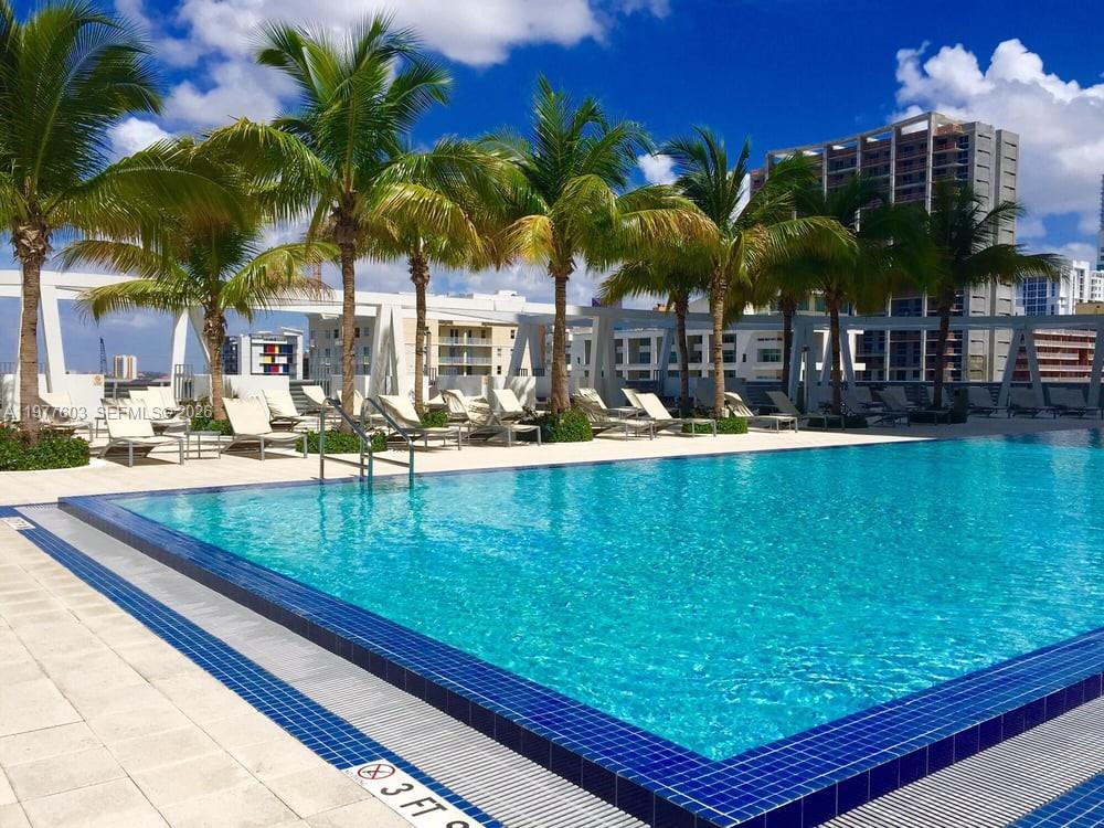 A rooftop swimming pool surrounded by lounge chairs and palm trees against a blue sky — 1111 SW 1st Ave, Miami FL 33130, MIAMI, FL