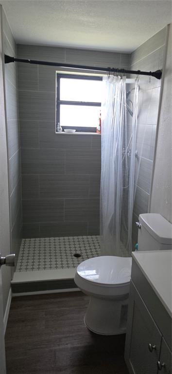 A bathroom features a walk-in shower with gray tile, a patterned floor, and a toilet — 10021 CHERRY CREEK LANE, PORT RICHEY, FL