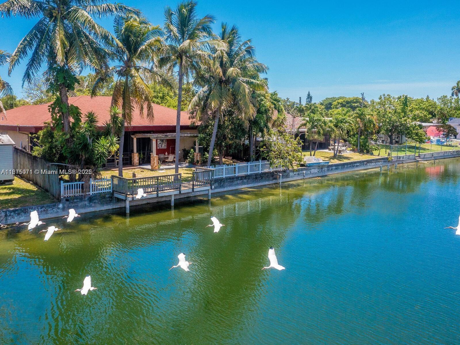 An aerial view of a waterfront house with a wooden deck and several flying birds — 232 SW 7th Ave, Hallandale Beach FL 33009, HALLANDALE BEACH, FL