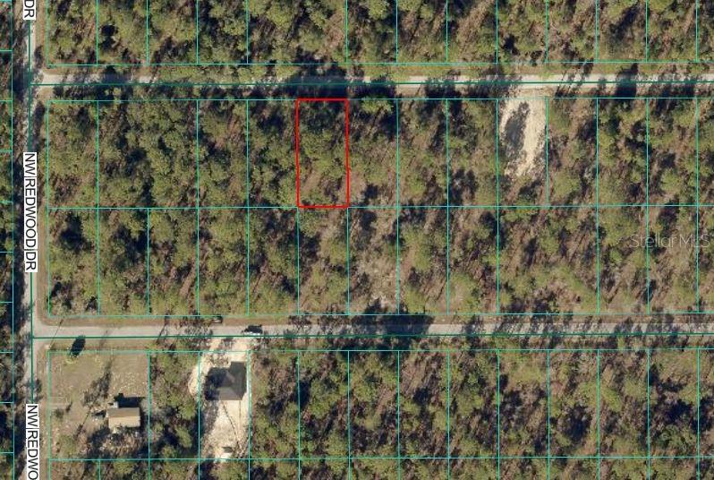 An aerial view shows a rectangular plot of land outlined in red among trees — 24394 NW WATER OAK AVENUE, DUNNELLON, FL