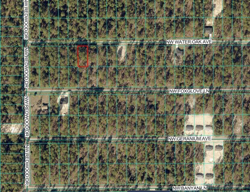 This is an aerial map showing a vacant, wooded lot outlined in red — 24394 NW WATER OAK AVENUE, DUNNELLON, FL