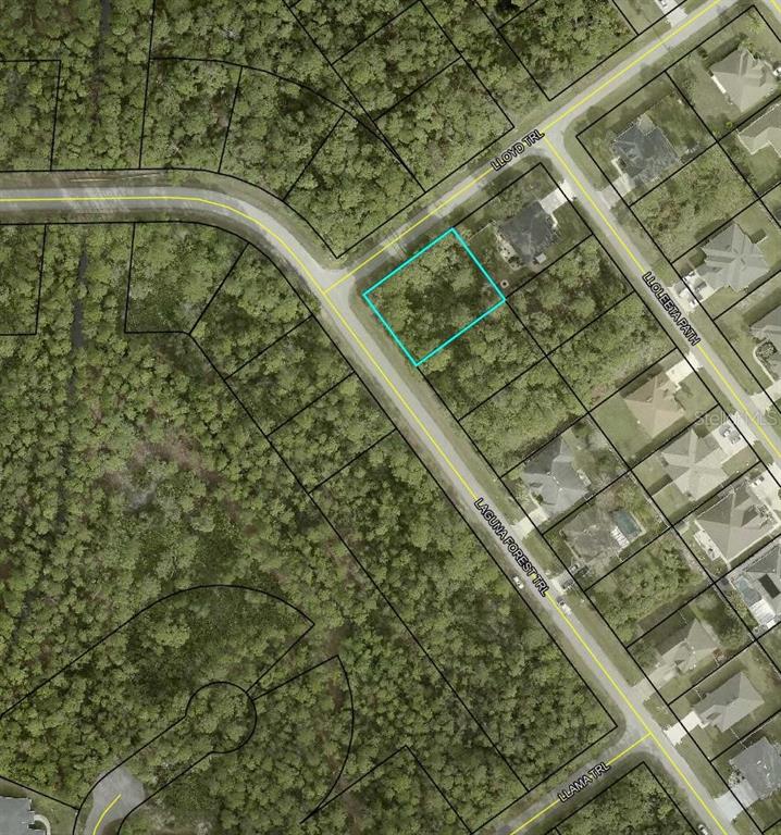 This is an aerial map showing a vacant residential lot outlined in blue — 000 LAGUNA FOREST TRAIL, PALM COAST, FL