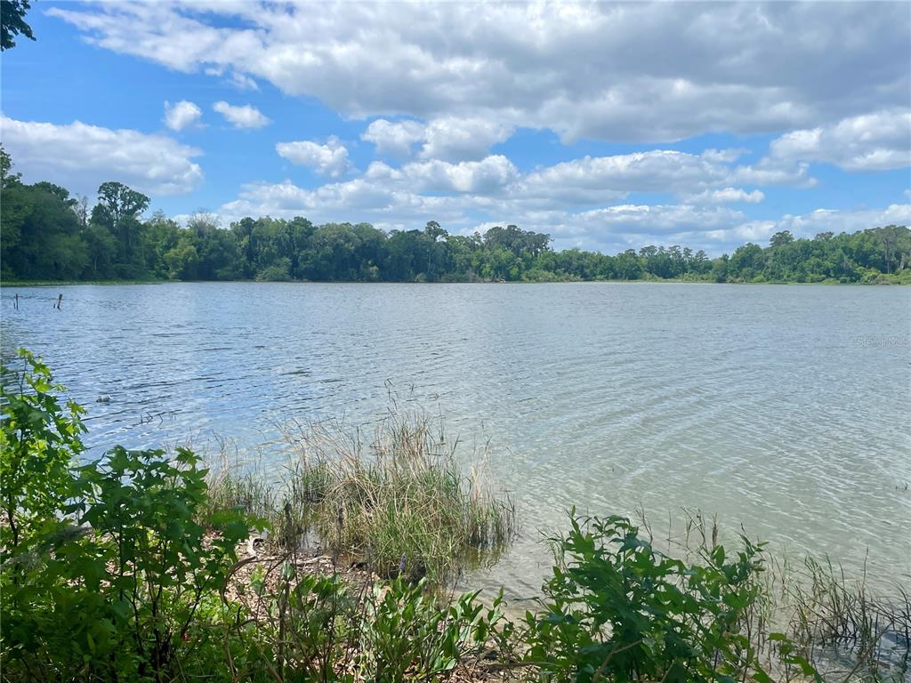 A view of a lake surrounded by trees under a cloudy blue sky — 1800 SW 35TH PLACE, GAINESVILLE, FL