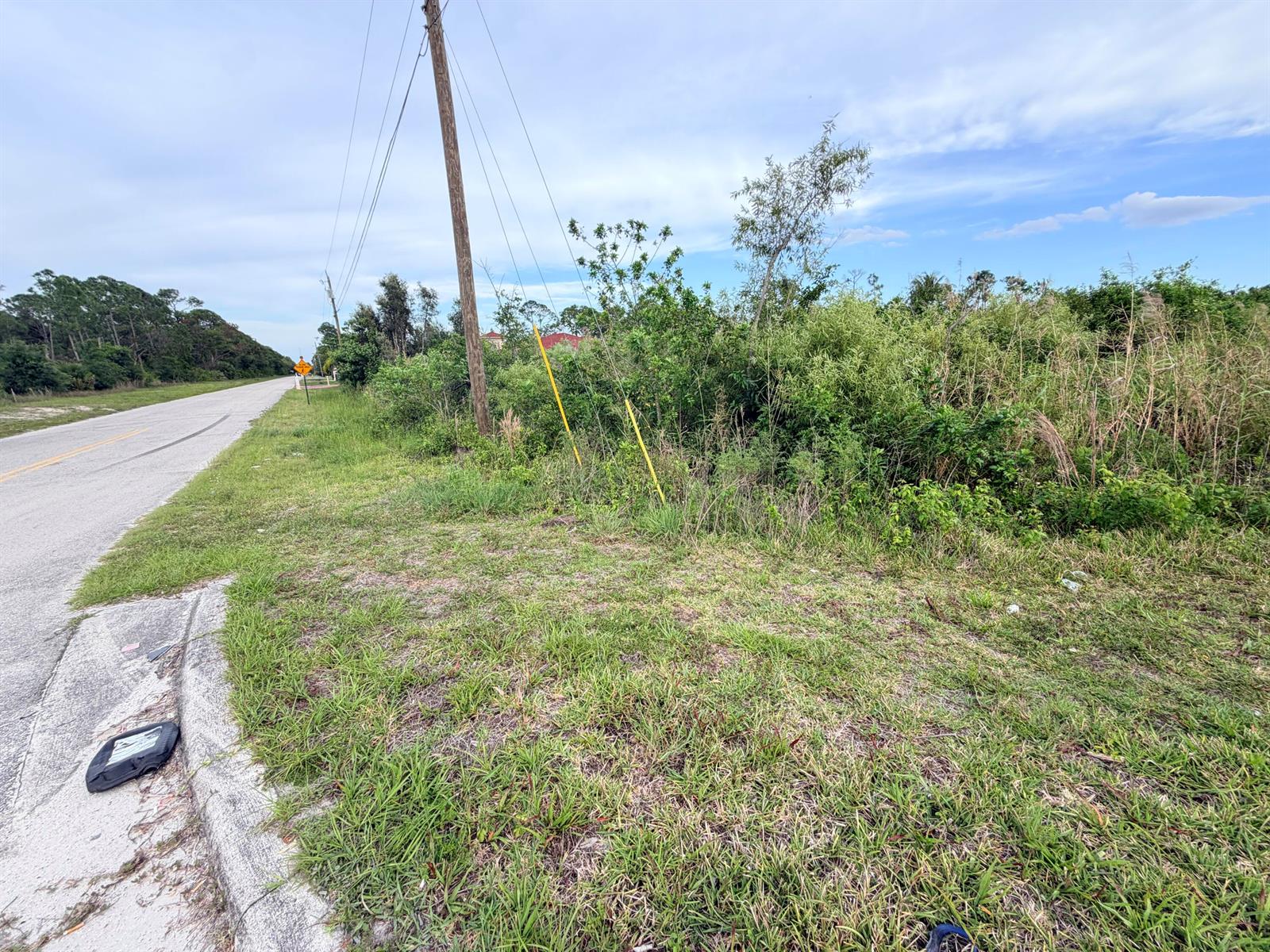 A grassy roadside lot with a utility pole and dense vegetation under a cloudy sky — 0000 Hamlin Blvd, FL 33412, FL