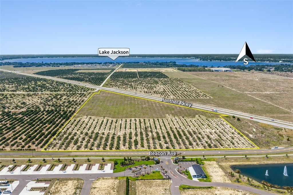 This aerial view shows a large, undeveloped plot of land bordered by two roads — PANTHER PARKWAY, SEBRING, FL
